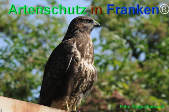 Copyright AiF Helga Zinnecker Bild zum Eintrag (75361-160)