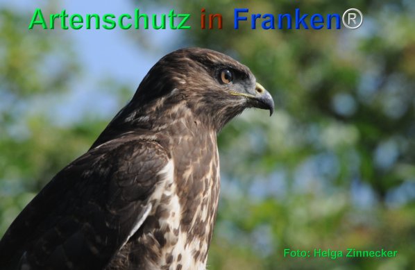 Copyright AiF - Helga Zinnecker Bild zum Eintrag (75362-160)