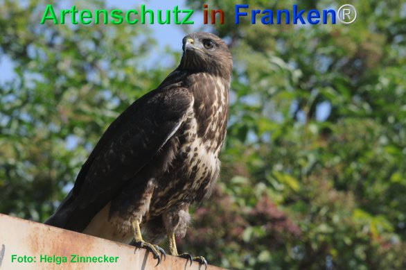 Copyright AiF - Helga Zinnecker Bild zum Eintrag (75363-160)