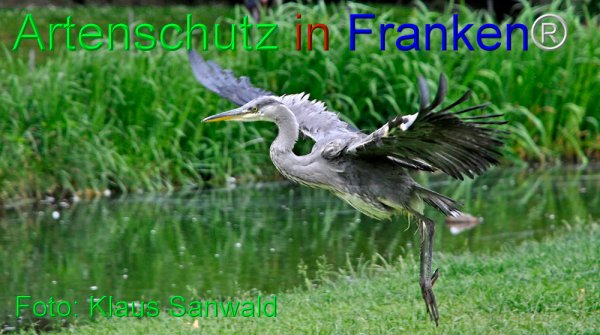 Bild zum Eintrag (75567-160)