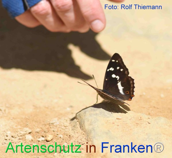 Copyright AiF-Rolf Thiemann Bild zum Eintrag (75635-160)