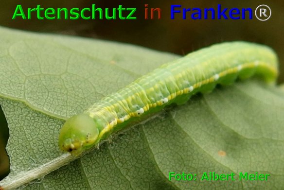 Copyright AiF - Albert Meier Bild zum Eintrag (75876-160)