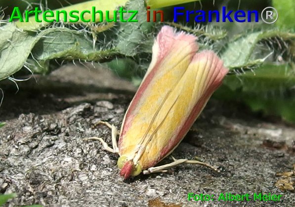 Bild zum Eintrag (75894-160)