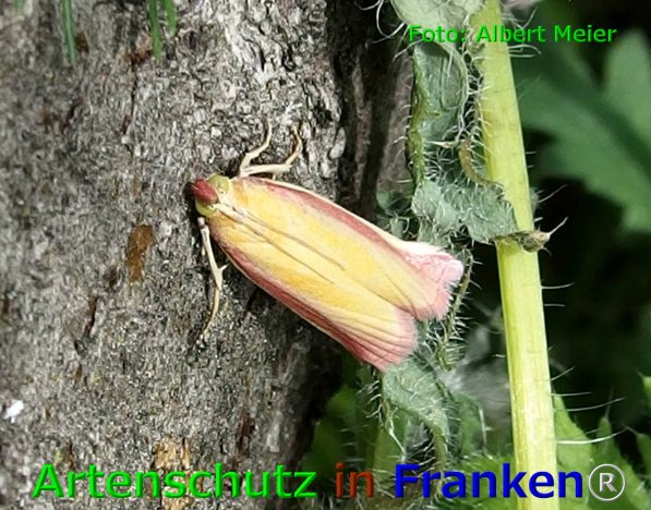 Bild zum Eintrag (75895-160)