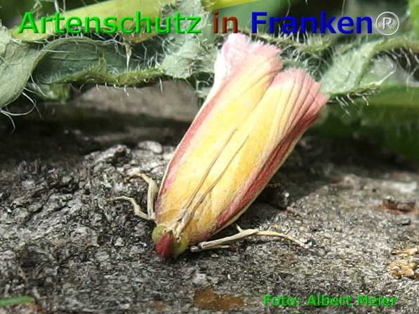 Bild zum Eintrag (75896-160)