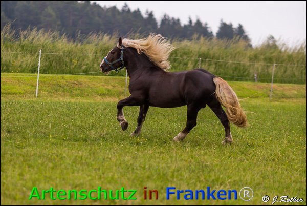 Bild zum Eintrag (75992-160)