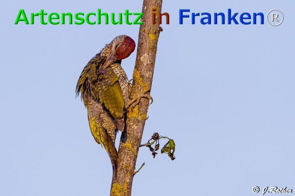 Copyright AiF Johannes Rother Bild zum Eintrag (76112-160)