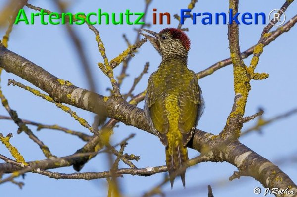 Copyright AiF Johannes Rother Bild zum Eintrag (76114-160)