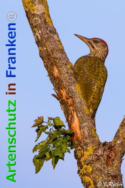 Copyright AiF Johannes Rother Bild zum Eintrag (76115-160)