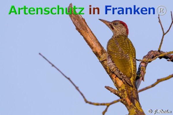 Copyright AiF Johannes Rother Bild zum Eintrag (76116-160)
