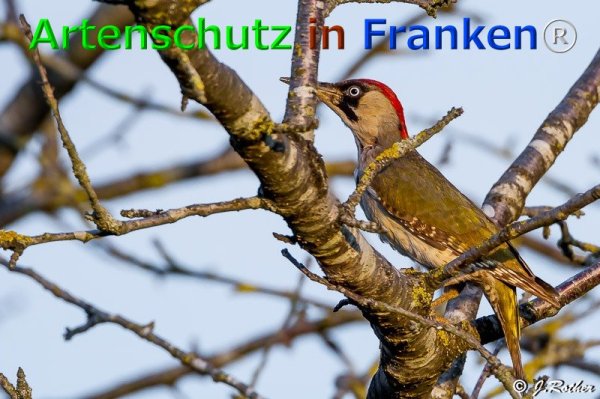 Copyright AiF Johannes Rother Bild zum Eintrag (76117-160)