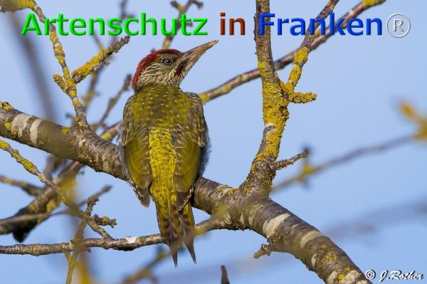 Copyright AiF Johannes Rother Bild zum Eintrag (76118-160)