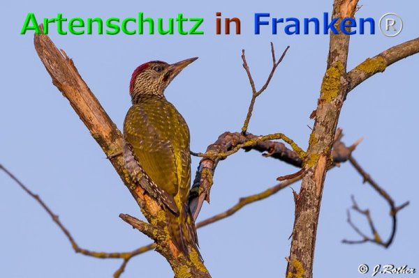 Copyright AiF Johannes Rother Bild zum Eintrag (76119-160)