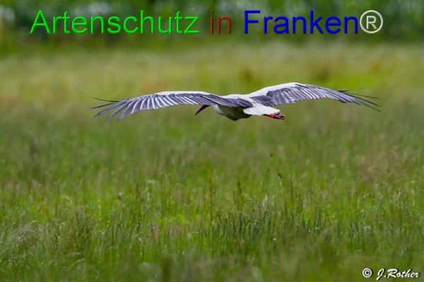 Copyright AiF Johannes Rother Bild zum Eintrag (76200-160)