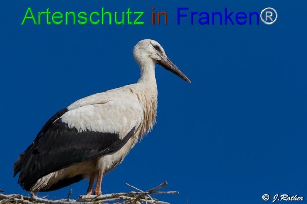 Copyright AiF Johannes Rother Bild zum Eintrag (76201-160)
