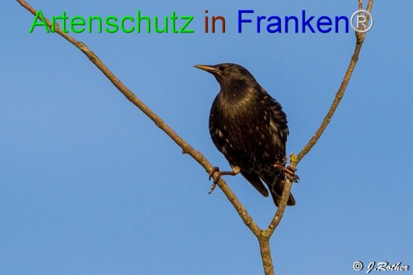 Copyright AiF Johannes Rother Bild zum Eintrag (76206-160)