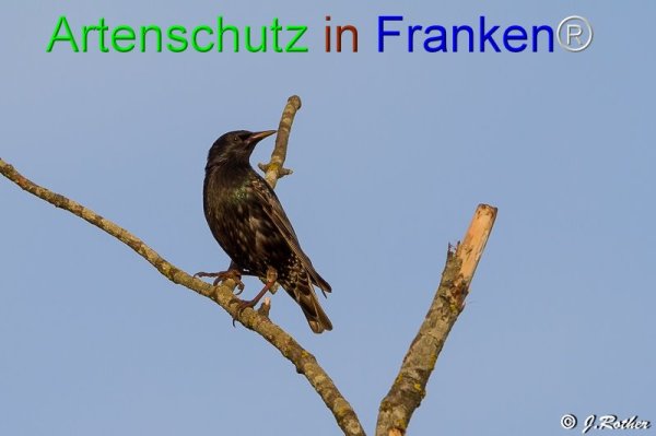 Copyright AiF Johannes Rother Bild zum Eintrag (76207-160)