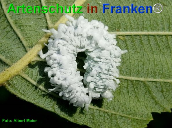 Bild zum Eintrag (76336-160)