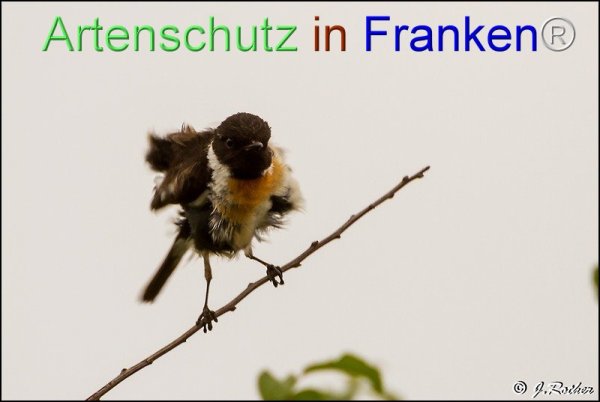 Copyright AiF Johannes Rother Bild zum Eintrag (76465-160)