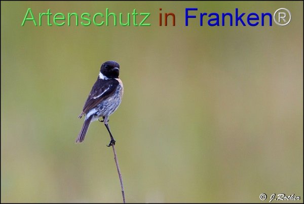 Copyright AiF Johannes Rother Bild zum Eintrag (76472-160)