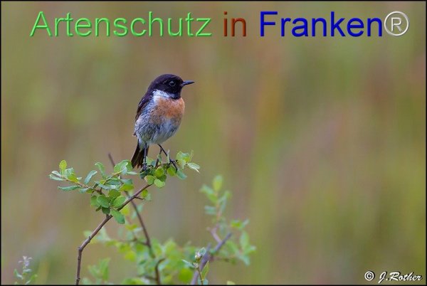 Copyright AiF Johannes Rother Bild zum Eintrag (76473-160)