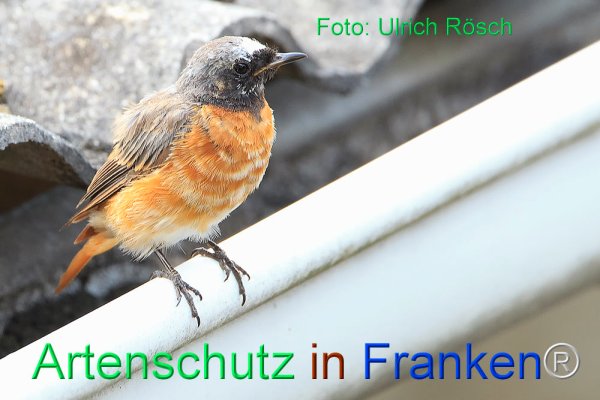 Copyright AiF Ulrich Rösch Bild zum Eintrag (76762-160)