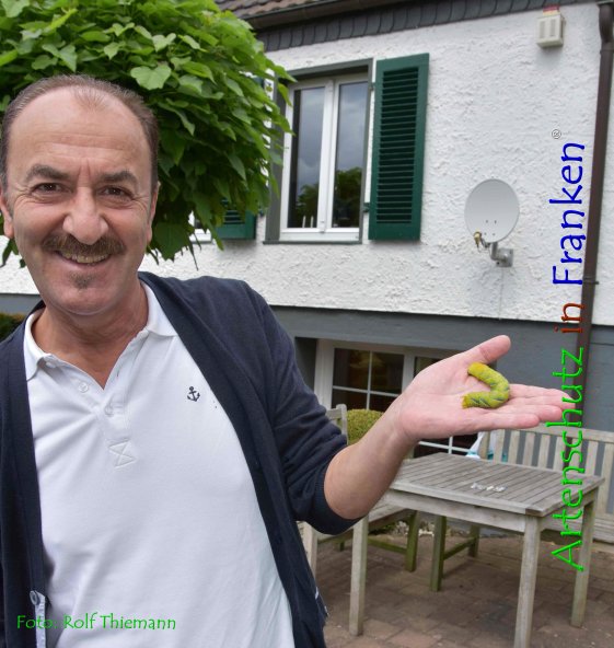 Copyright AiF Rolf Thiemann Bild zum Eintrag (76799-160)