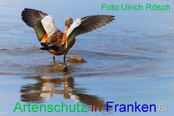 Copyright AiF Ulrich Rösch Bild zum Eintrag (76973-160)