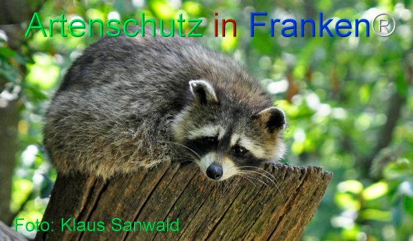 Copyright AiF Klaus Sanwald Bild zum Eintrag (77124-160)