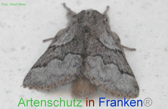 Copyright AiF - Albert Meier Bild zum Eintrag (77183-160)