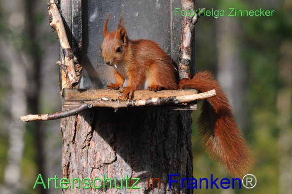 Bild zum Eintrag (77314-160)