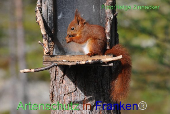 Bild zum Eintrag (77315-160)