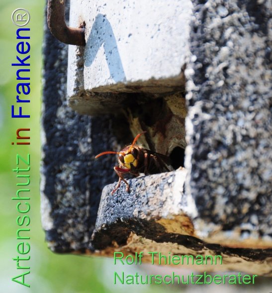 Copyright AiF Rolf Thiemann Bild zum Eintrag (78032-160)