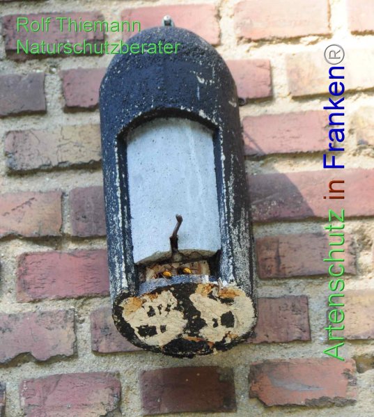Copyright AiF Rolf Thiemann Bild zum Eintrag (78033-160)