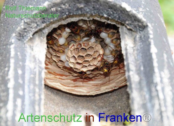 Copyright AiF Rolf Thiemann Bild zum Eintrag (78034-160)
