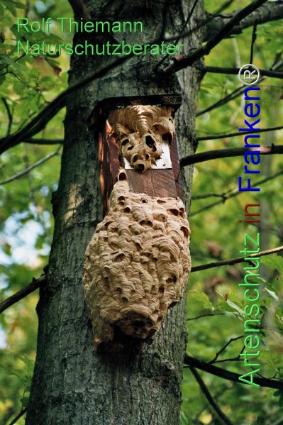 Copyright AiF Rolf Thiemann Bild zum Eintrag (78036-160)