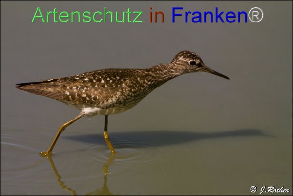 Copyright AiF Johannes Rother Bild zum Eintrag (78045-160)
