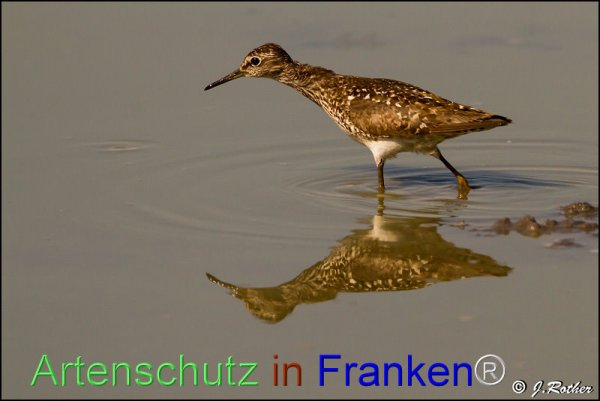 Copyright AiF Johannes Rother Bild zum Eintrag (78046-160)