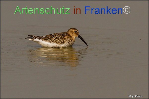 Copyright AiF Johannes Rother Bild zum Eintrag (78092-160)