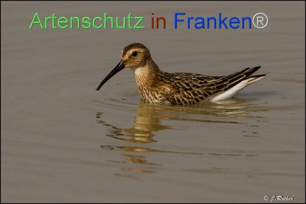 Copyright AiF Johannes Rother Bild zum Eintrag (78093-160)