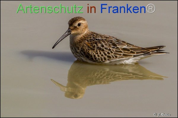 Copyright AiF Johannes Rother Bild zum Eintrag (78098-160)