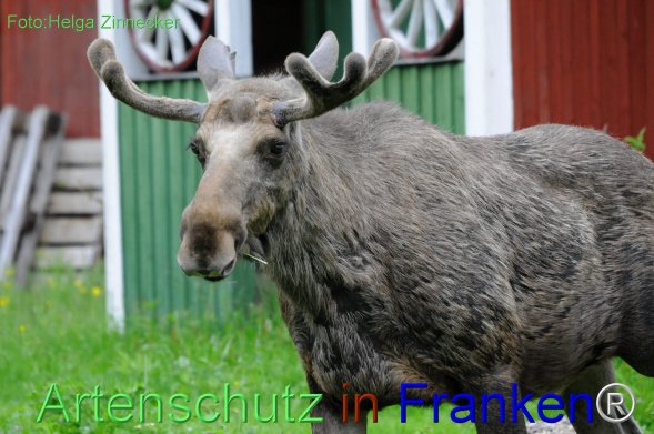 Copyright AiF Helga Zinnecker Bild zum Eintrag (78213-160)