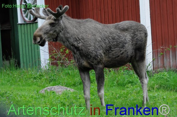 Copyright AiF - Helga Zinnecker Bild zum Eintrag (78214-160)