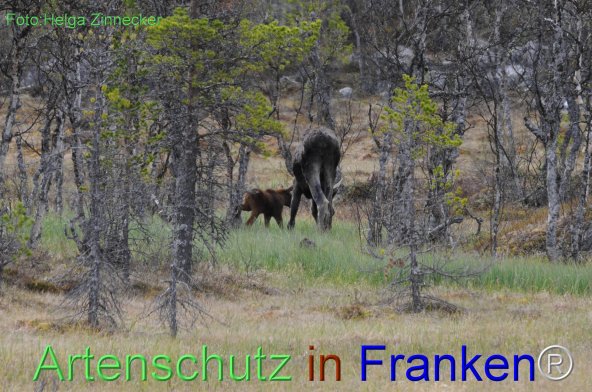 Copyright AiF - Helga Zinnecker Bild zum Eintrag (78218-160)