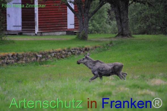 Copyright AiF - Helga Zinnecker Bild zum Eintrag (78219-160)