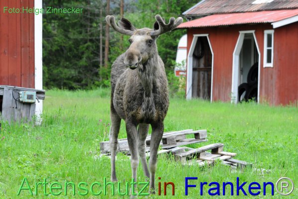 Copyright AiF - Helga Zinnecker Bild zum Eintrag (78249-160)