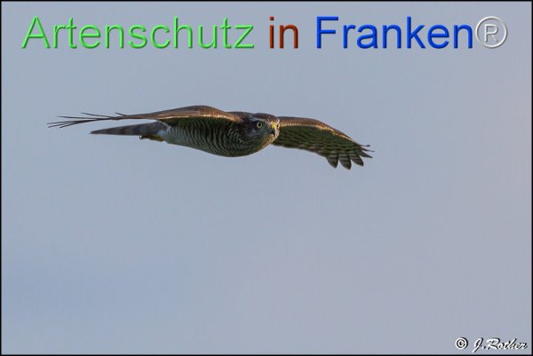 Copyright AiF Johannes Rother Bild zum Eintrag (78307-160)