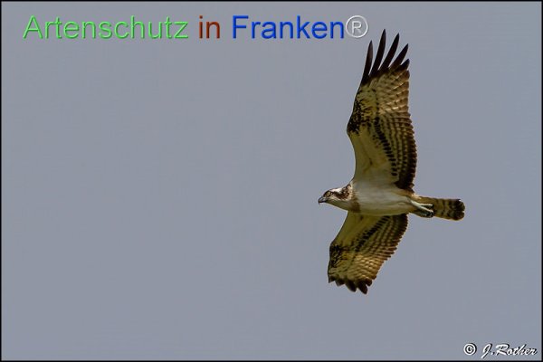 Copyright AiF Johannes Rother Bild zum Eintrag (78409-160)