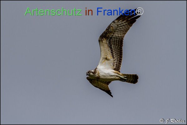 Copyright AiF Johannes Rother Bild zum Eintrag (78410-160)
