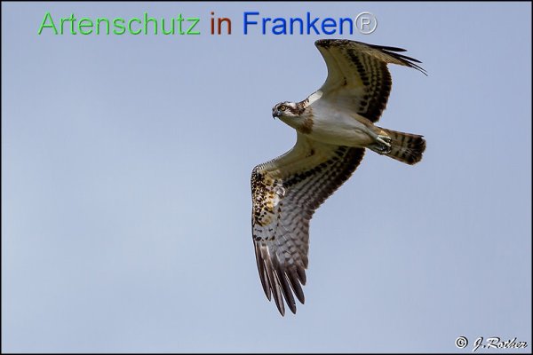 Copyright AiF Johannes Rother Bild zum Eintrag (78411-160)